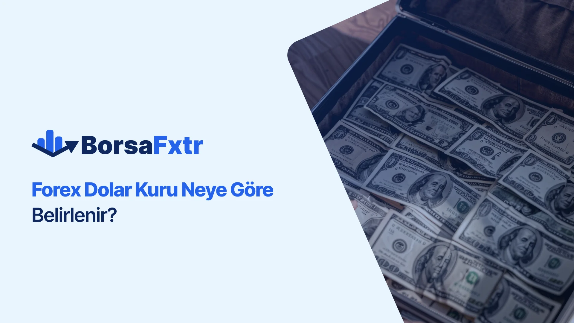 Forex Dolar Kuru Neye Göre Belirlenir?