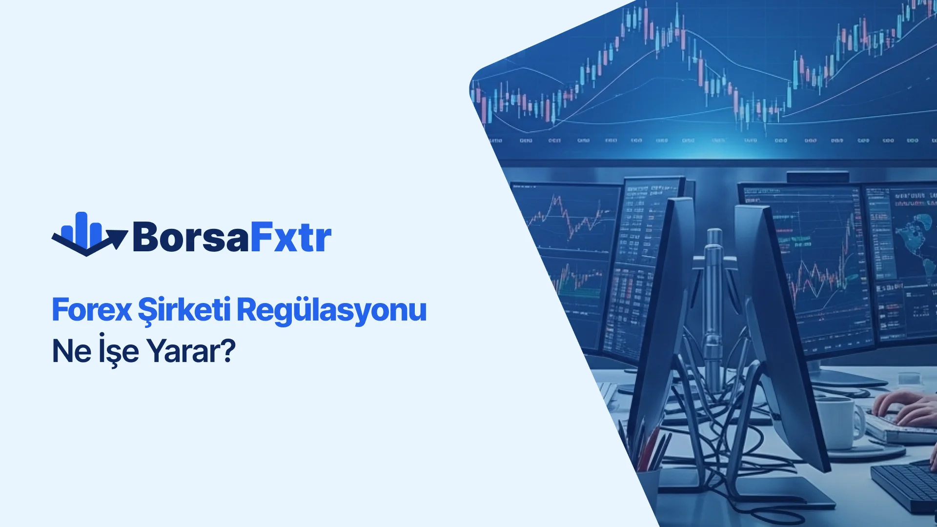 Forex Şirketi Regülasyonu Ne İşe Yarar?